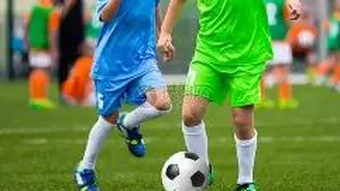 水晶宫前主席指责索斯盖特处理马奎尔问题不当，加剧危机