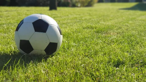 特里赞：帕尔默在比赛理解上独步天下。